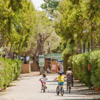 Famiglia in bicicletta su un sentiero alberato, circondato da siepi verdi e fiori.