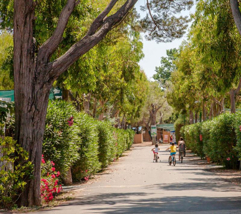 Viale alberato con persone in bicicletta, circondato da piante e fiori colorati.