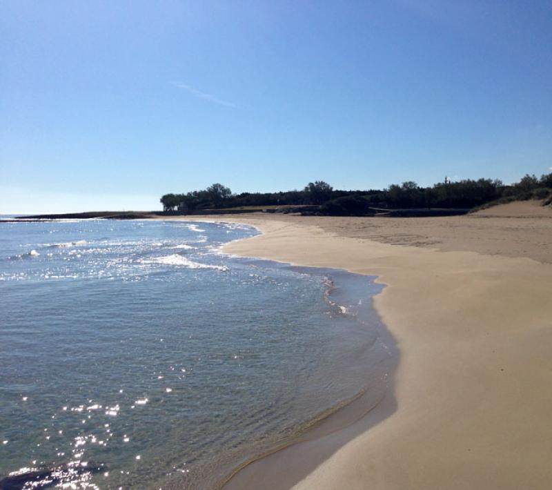 Spiaggia deserta con sabbia dorata e mare calmo sotto un cielo limpido.